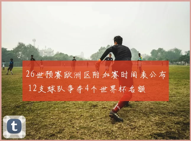 26世预赛欧洲区附加赛时间表公布 12支球队争夺4个世界杯名额