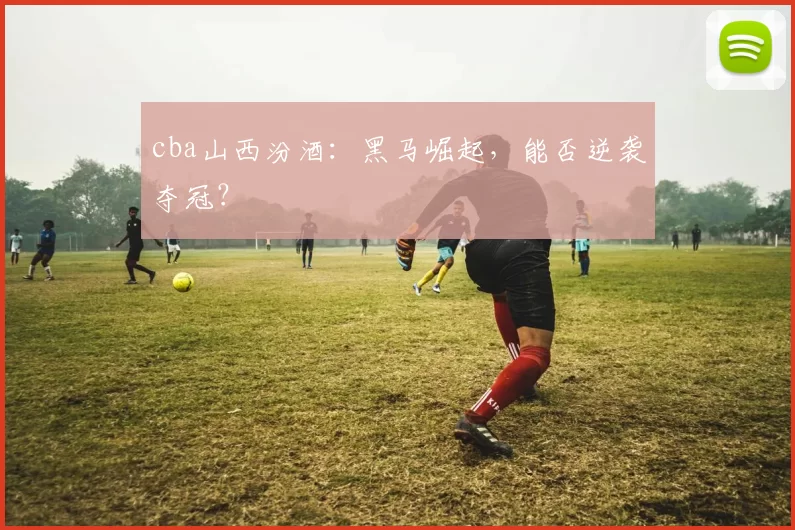 cba山西汾酒：黑马崛起，能否逆袭夺冠？