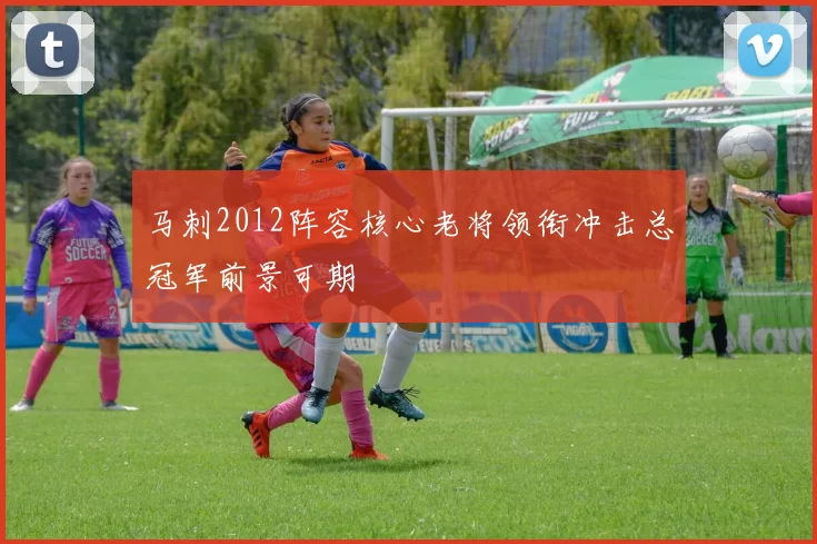 马刺2012阵容核心老将领衔冲击总冠军前景可期