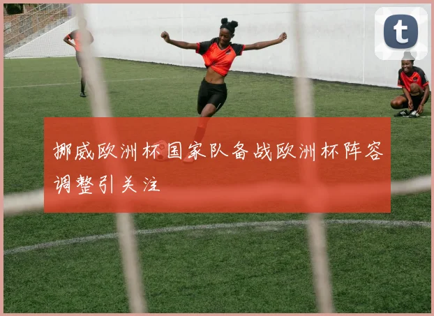 挪威欧洲杯国家队备战欧洲杯阵容调整引关注