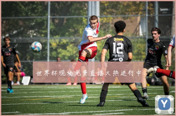 世界杯现场免费直播火热进行中